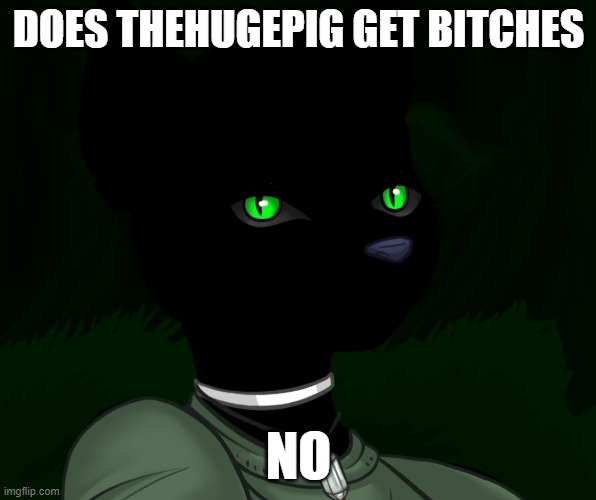 My new panther fursona | DOES THEHUGEPIG GET BITCHES; NO | image tagged in my new panther fursona | made w/ Imgflip meme maker