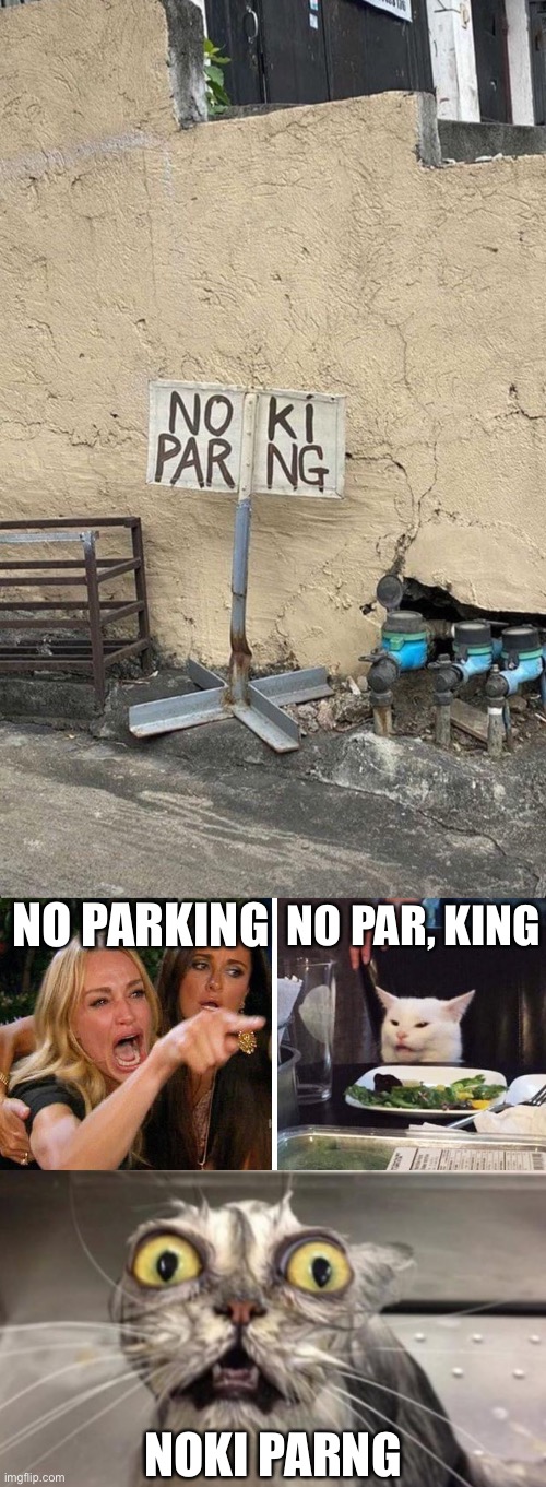 Cats reading signs | NO PAR, KING; NO PARKING; NOKI PARNG | image tagged in smudge the cat,crazy cat,parking,king | made w/ Imgflip meme maker