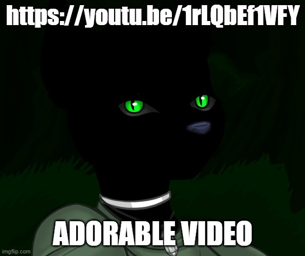 My new panther fursona | https://youtu.be/1rLQbEf1VFY; ADORABLE VIDEO | image tagged in my new panther fursona | made w/ Imgflip meme maker