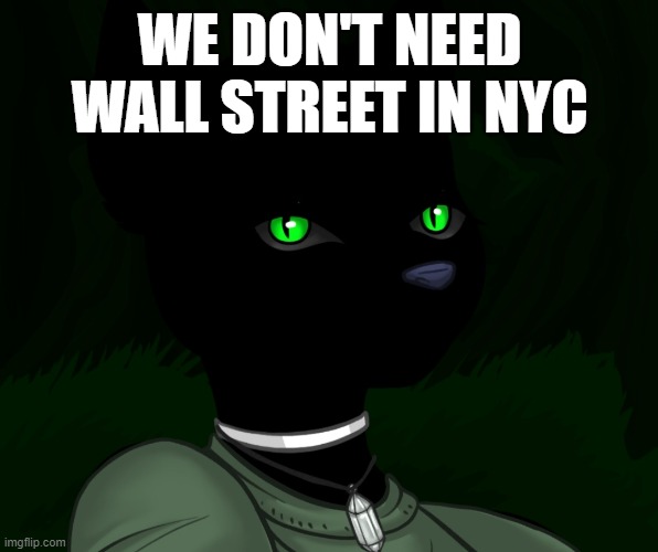 My new panther fursona | WE DON'T NEED WALL STREET IN NYC | image tagged in my new panther fursona | made w/ Imgflip meme maker