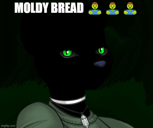 My new panther fursona | MOLDY BREAD 🧟‍♂️🧟‍♂️🧟‍♂️ | image tagged in my new panther fursona | made w/ Imgflip meme maker