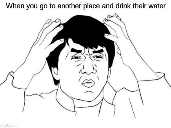 AUUGHH DISGUSTING | When you go to another place and drink their water | image tagged in memes,jackie chan wtf,relatable,funny,water | made w/ Imgflip meme maker