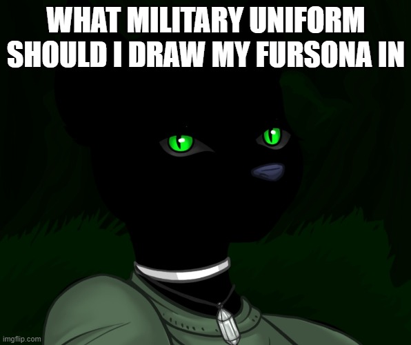 My new panther fursona | WHAT MILITARY UNIFORM SHOULD I DRAW MY FURSONA IN | image tagged in my new panther fursona | made w/ Imgflip meme maker