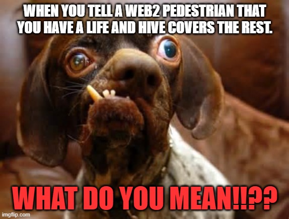 UGLY DOG | WHEN YOU TELL A WEB2 PEDESTRIAN THAT YOU HAVE A LIFE AND HIVE COVERS THE REST. WHAT DO YOU MEAN!!?? | image tagged in ugly dog | made w/ Imgflip meme maker
