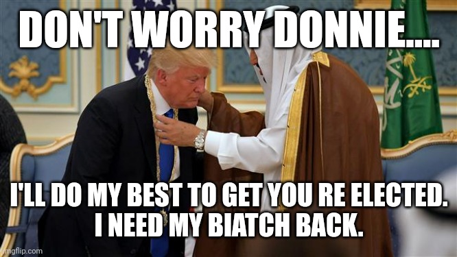 Pussinald | DON'T WORRY DONNIE.... I'LL DO MY BEST TO GET YOU RE ELECTED.
I NEED MY BIATCH BACK. | image tagged in trump,saudi arabia,conservative,republican,liberal,democrat | made w/ Imgflip meme maker