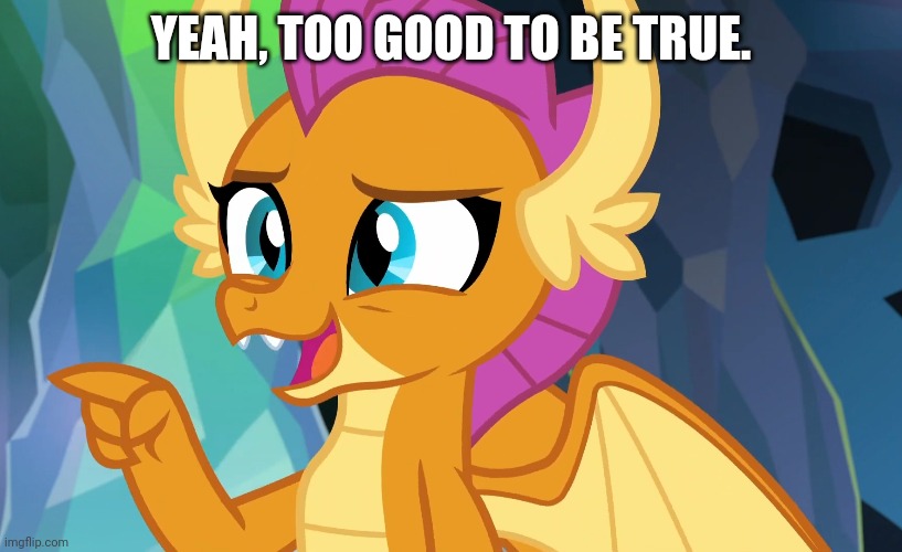 YEAH, TOO GOOD TO BE TRUE. | made w/ Imgflip meme maker