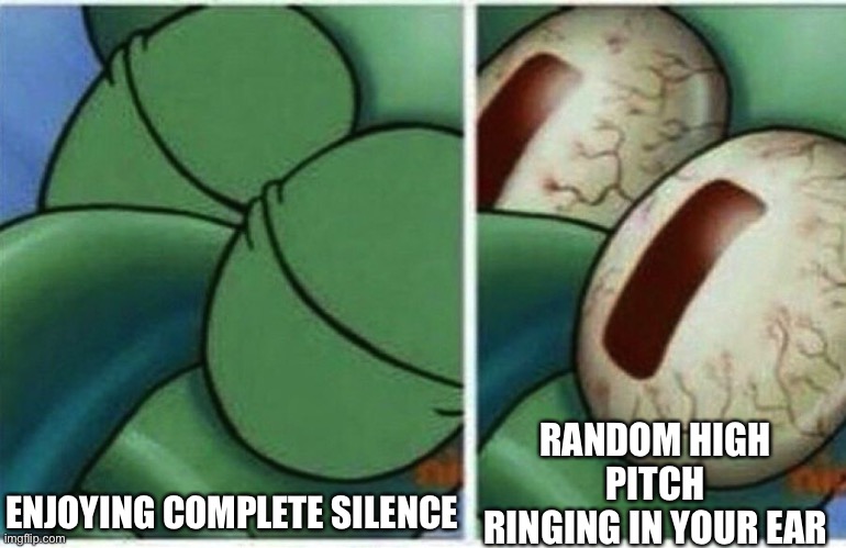 happens every time | RANDOM HIGH PITCH RINGING IN YOUR EAR; ENJOYING COMPLETE SILENCE | image tagged in squidward,annoying,memes | made w/ Imgflip meme maker