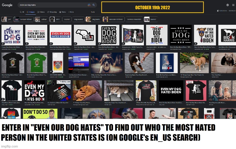 I was only surprised that google didn't manipulate the results... | image tagged in haters,google,google search,unexpected results,where is my duck's socks | made w/ Imgflip meme maker