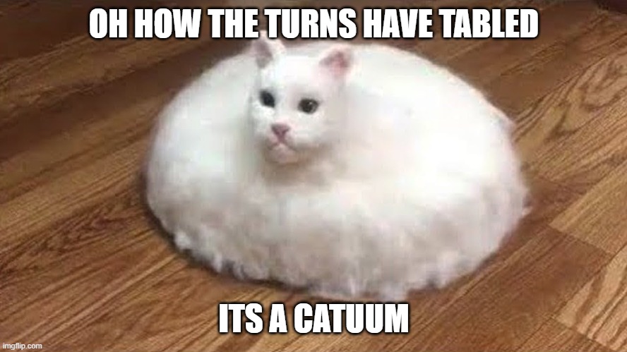 this meme is bad :D | OH HOW THE TURNS HAVE TABLED; ITS A CATUUM | image tagged in catuum,wtf | made w/ Imgflip meme maker