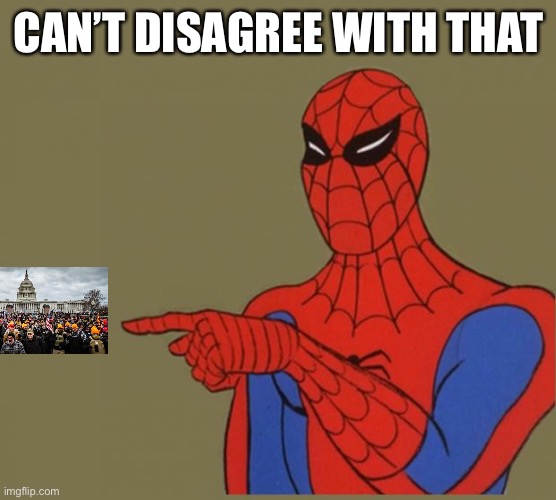 spiderman | CAN’T DISAGREE WITH THAT | image tagged in spiderman | made w/ Imgflip meme maker