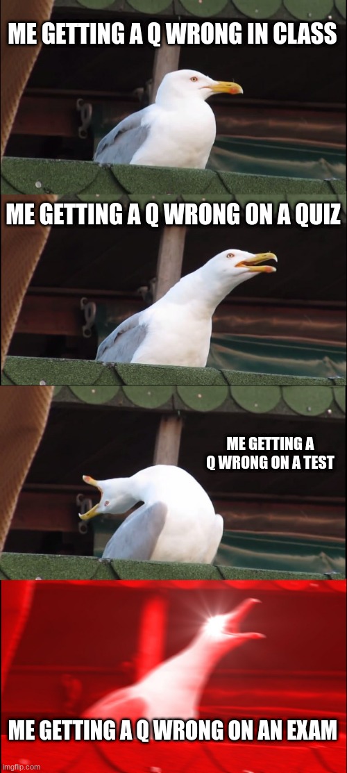 I hate this because its infuriating | ME GETTING A Q WRONG IN CLASS; ME GETTING A Q WRONG ON A QUIZ; ME GETTING A Q WRONG ON A TEST; ME GETTING A Q WRONG ON AN EXAM | image tagged in memes,inhaling seagull | made w/ Imgflip meme maker