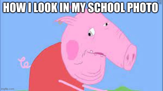 My school photo | HOW I LOOK IN MY SCHOOL PHOTO | image tagged in peppa pig,memes,school | made w/ Imgflip meme maker