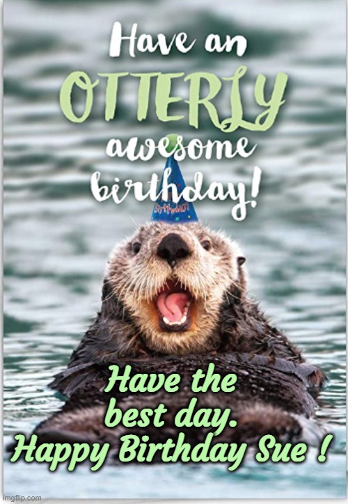 Happy Birthday Sue |  Have the best day.
Happy Birthday Sue ! | image tagged in happy birthday,birthday,otters,sue | made w/ Imgflip meme maker