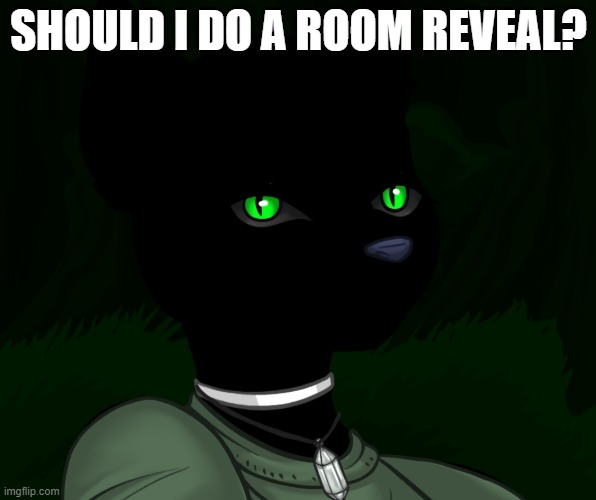 My new panther fursona | SHOULD I DO A ROOM REVEAL? | image tagged in my new panther fursona | made w/ Imgflip meme maker