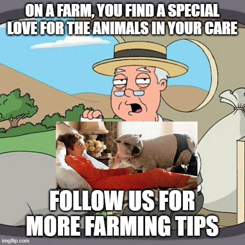 Pepperidge Farm Remembers | ON A FARM, YOU FIND A SPECIAL LOVE FOR THE ANIMALS IN YOUR CARE; FOLLOW US FOR MORE FARMING TIPS | image tagged in memes,pepperidge farm remembers | made w/ Imgflip meme maker