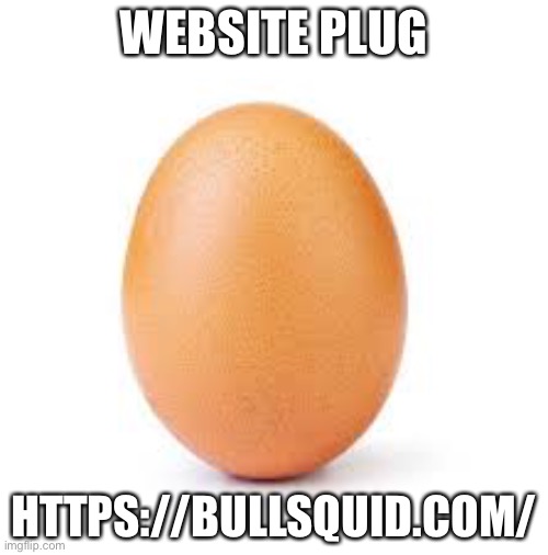 Egg |  WEBSITE PLUG; HTTPS://BULLSQUID.COM/ | image tagged in egg | made w/ Imgflip meme maker