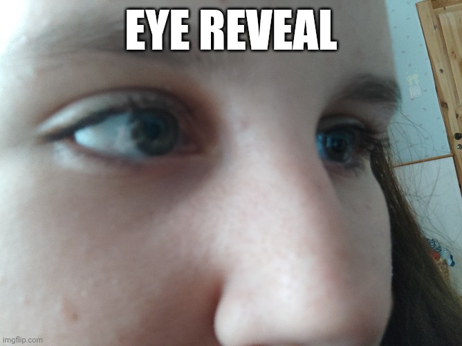 If this gets 10 upvotes I'll do a full face reveal | EYE REVEAL | made w/ Imgflip meme maker