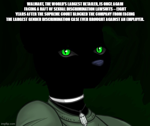 My new panther fursona | WALMART, THE WORLD’S LARGEST RETAILER, IS ONCE AGAIN FACING A RAFT OF SEXUAL DISCRIMINATION LAWSUITS – EIGHT YEARS AFTER THE SUPREME COURT BLOCKED THE COMPANY FROM FACING THE LARGEST GENDER DISCRIMINATION CASE EVER BROUGHT AGAINST AN EMPLOYER. | image tagged in my new panther fursona | made w/ Imgflip meme maker