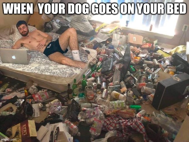 Guy in messy room surrounded by trash | WHEN  YOUR DOG GOES ON YOUR BED | image tagged in guy in messy room surrounded by trash | made w/ Imgflip meme maker