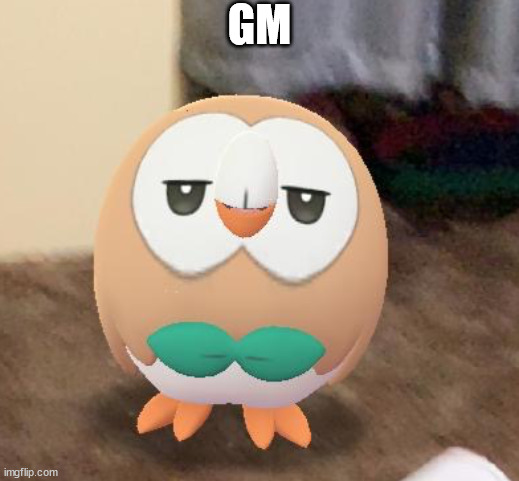 Sleepy Rowlet | GM | image tagged in sleepy rowlet | made w/ Imgflip meme maker