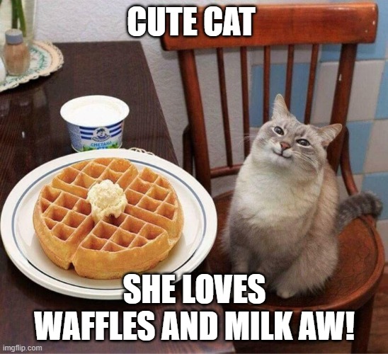 Pancake Cat | CUTE CAT; SHE LOVES WAFFLES AND MILK AW! | image tagged in pancake cat | made w/ Imgflip meme maker