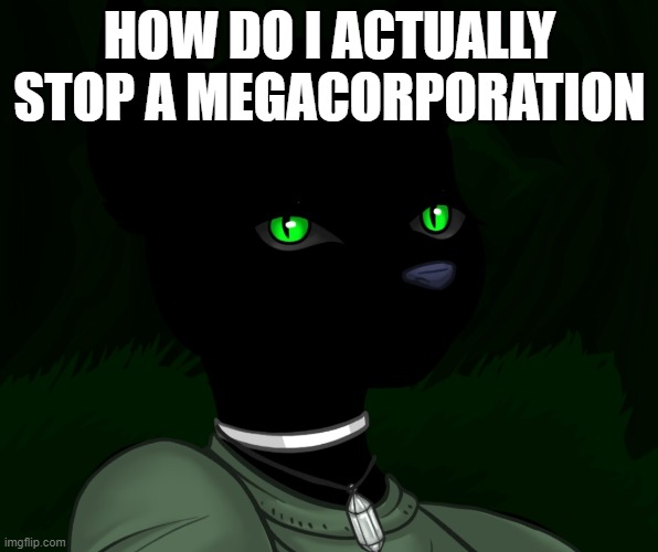 My new panther fursona | HOW DO I ACTUALLY STOP A MEGACORPORATION | image tagged in my new panther fursona | made w/ Imgflip meme maker