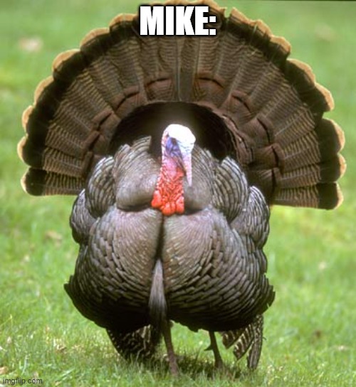 Turkey Meme | MIKE: | image tagged in memes,turkey | made w/ Imgflip meme maker