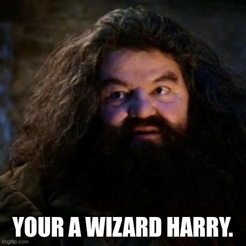 You're a wizard harry | YOUR A WIZARD HARRY. | image tagged in you're a wizard harry | made w/ Imgflip meme maker