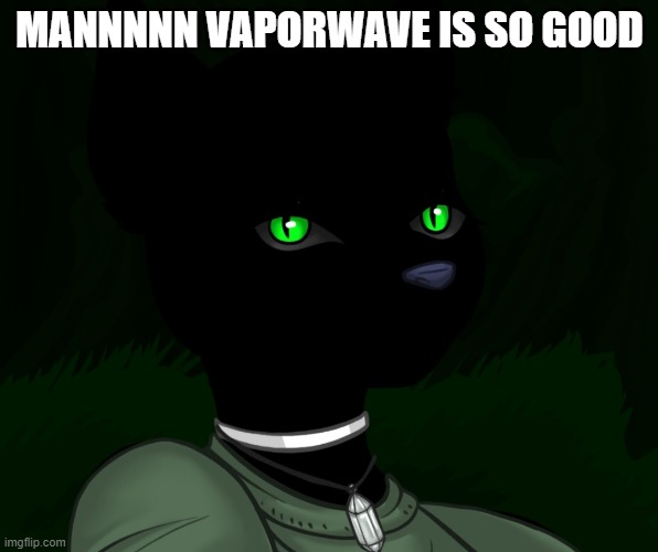 My new panther fursona | MANNNNN VAPORWAVE IS SO GOOD | image tagged in my new panther fursona | made w/ Imgflip meme maker