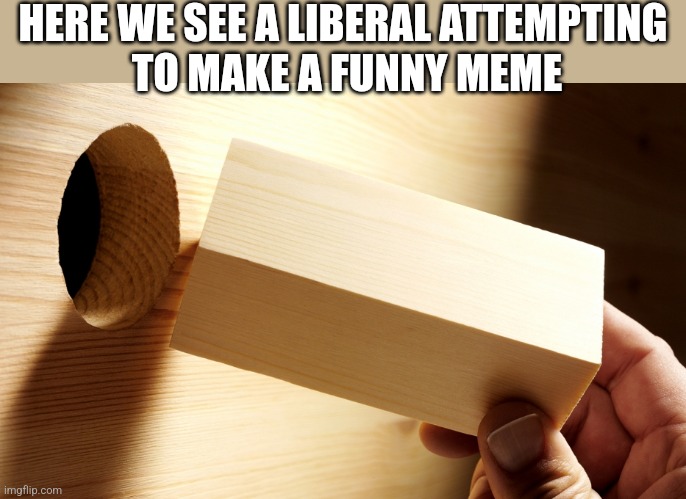 HERE WE SEE A LIBERAL ATTEMPTING 
TO MAKE A FUNNY MEME | image tagged in funny memes | made w/ Imgflip meme maker