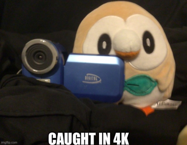 Taken in my bed with my plush | image tagged in rowlet caught in 4k | made w/ Imgflip meme maker