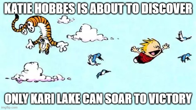 Kari Lake AZ Governor | KATIE HOBBES IS ABOUT TO DISCOVER; ONLY KARI LAKE CAN SOAR TO VICTORY | image tagged in political meme,arizona | made w/ Imgflip meme maker