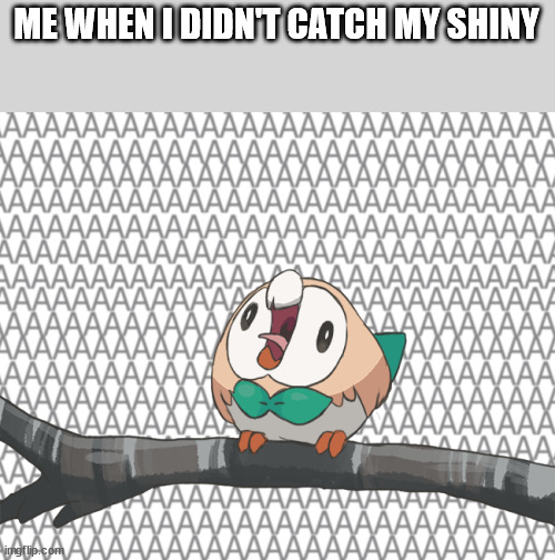 a n g e r | ME WHEN I DIDN'T CATCH MY SHINY | image tagged in rowlet screaming on a branch | made w/ Imgflip meme maker