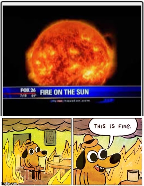 image tagged in memes,this is fine | made w/ Imgflip meme maker