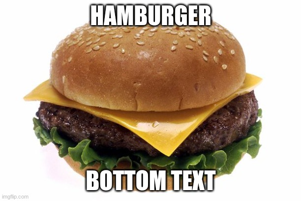 Burger | HAMBURGER BOTTOM TEXT | image tagged in burger | made w/ Imgflip meme maker