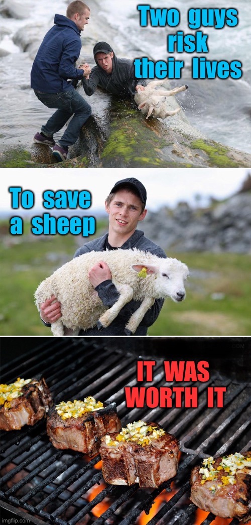 Risk their lives | Two  guys  risk  their  lives; To  save  a  sheep; IT  WAS  WORTH  IT | image tagged in sheepishly,two guys,save a sheep,at great risk,worth it,dark humour | made w/ Imgflip meme maker