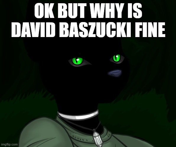 My new panther fursona | OK BUT WHY IS DAVID BASZUCKI FINE | image tagged in my new panther fursona | made w/ Imgflip meme maker