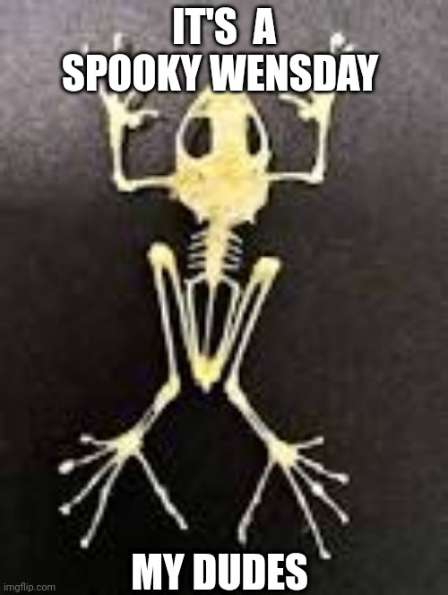 It's Wednesday my dudes | IT'S  A SPOOKY WENSDAY; MY DUDES | image tagged in memes | made w/ Imgflip meme maker