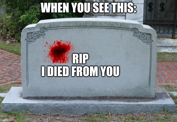 Gravestone | WHEN YOU SEE THIS:; RIP
I DIED FROM YOU | image tagged in gravestone | made w/ Imgflip meme maker