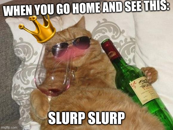 Funny Cat Birthday | WHEN YOU GO HOME AND SEE THIS:; SLURP SLURP | image tagged in funny cat birthday | made w/ Imgflip meme maker