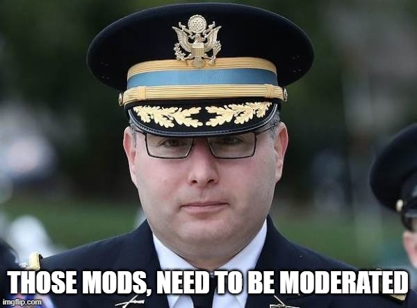 Vindman | THOSE MODS, NEED TO BE MODERATED | image tagged in vindman | made w/ Imgflip meme maker