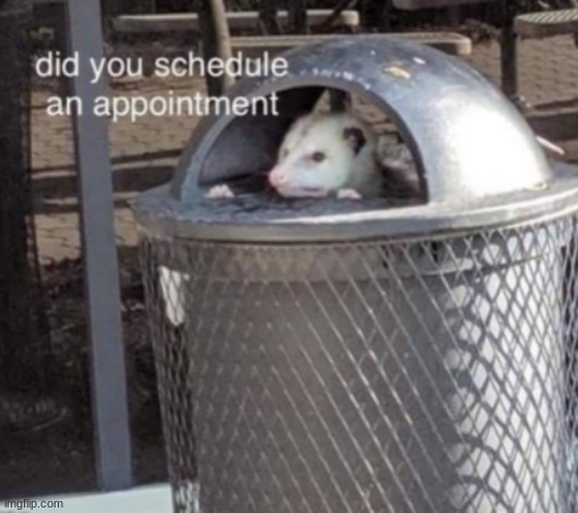 when someone asks me for help (it's very rare) | image tagged in did you schedule an appointment | made w/ Imgflip meme maker
