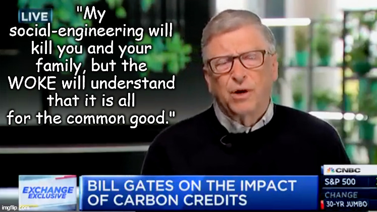 WOKE & Bill Gates are a threat to Democracy | "My social-engineering will kill you and your family, but the WOKE will understand that it is all for the common good." | image tagged in memes,politics | made w/ Imgflip meme maker