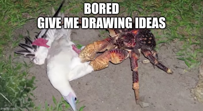 Coconut Crab and Red Footed Booby Bird | BORED
GIVE ME DRAWING IDEAS | image tagged in coconut crab and red footed booby bird | made w/ Imgflip meme maker