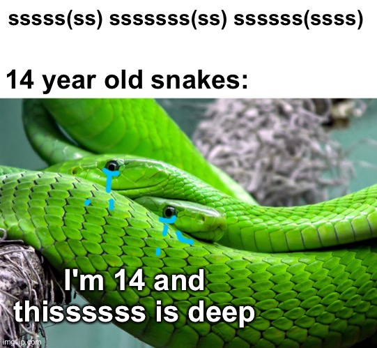 Sssssso deeep | sssss(ss) sssssss(ss) ssssss(ssss); 14 year old snakes:; I'm 14 and thissssss is deep | image tagged in memes,unfunny | made w/ Imgflip meme maker