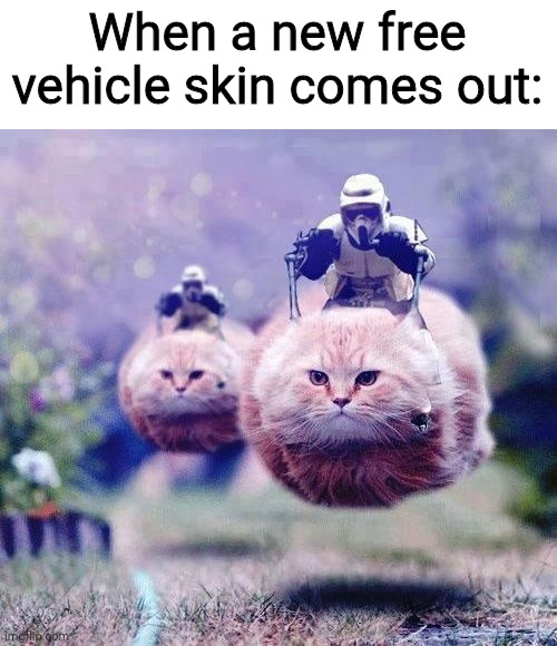 Storm Trooper Cats | When a new free vehicle skin comes out: | image tagged in storm trooper cats,meow,funny memes | made w/ Imgflip meme maker