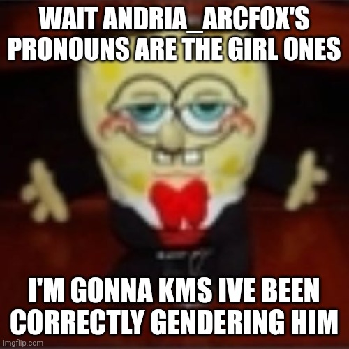 idk.jpg | WAIT ANDRIA_ARCFOX'S PRONOUNS ARE THE GIRL ONES; I'M GONNA KMS IVE BEEN CORRECTLY GENDERING HIM | image tagged in idk jpg | made w/ Imgflip meme maker