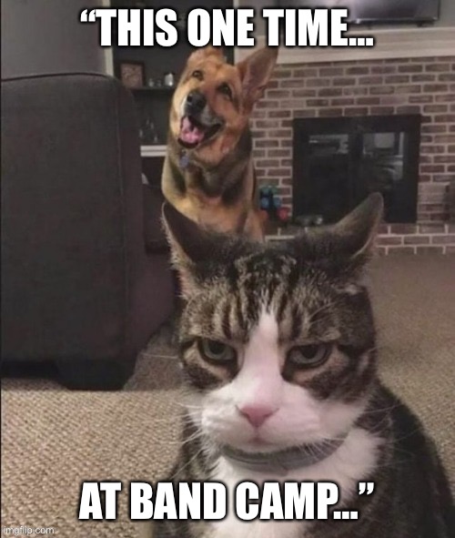 Dog and cat | “THIS ONE TIME…; AT BAND CAMP…” | image tagged in happy dog and annoyed cat,happy dog | made w/ Imgflip meme maker