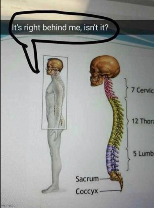 here he comes | image tagged in memes,unfunny | made w/ Imgflip meme maker