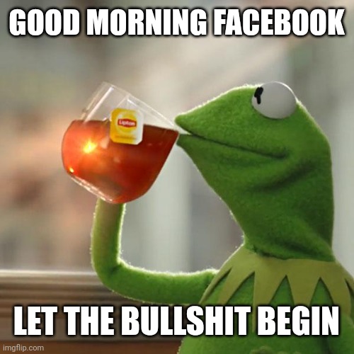 But That's None Of My Business | GOOD MORNING FACEBOOK; LET THE BULLSHIT BEGIN | image tagged in memes,but that's none of my business,kermit the frog | made w/ Imgflip meme maker